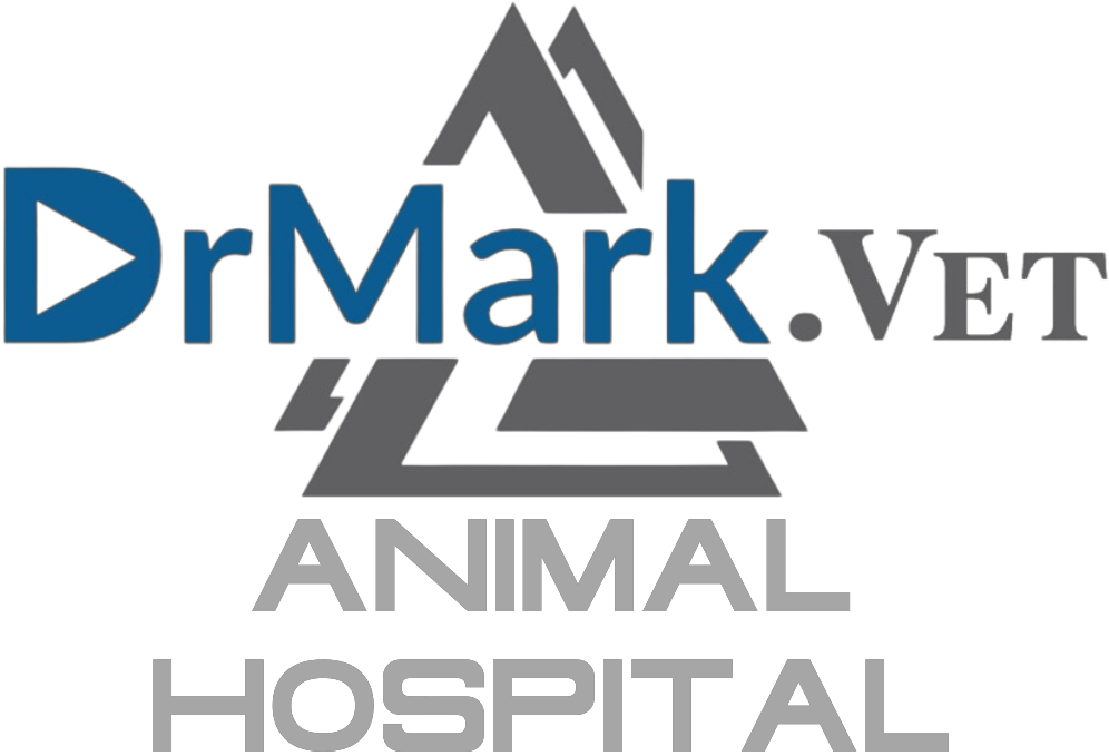 Animal Hospital Logo Stacked Png